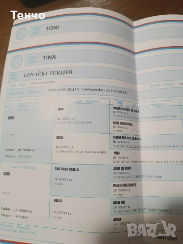 Мъжки ягдтериер, снимка 3 - Ягдтериер - 53781200