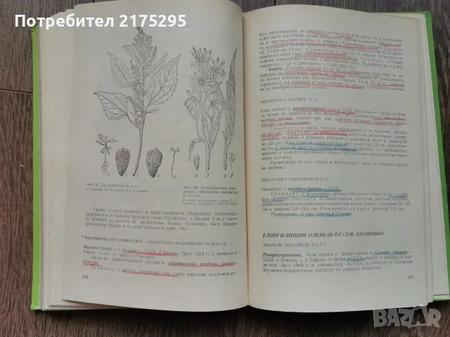 Карантина на растенията-Земиздат 1974г., снимка 15 - Учебници, учебни тетрадки - 56225071