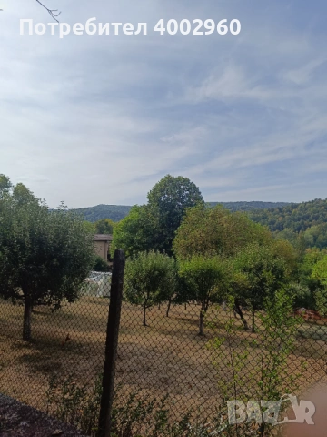  Нива  изоставена  близо до регулация ! , снимка 6 - Земеделска земя - 53576735