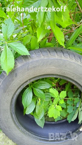 Гума Debica Frigo 175/70/14 84H Всесезонна, снимка 3 - Гуми и джанти - 50577504