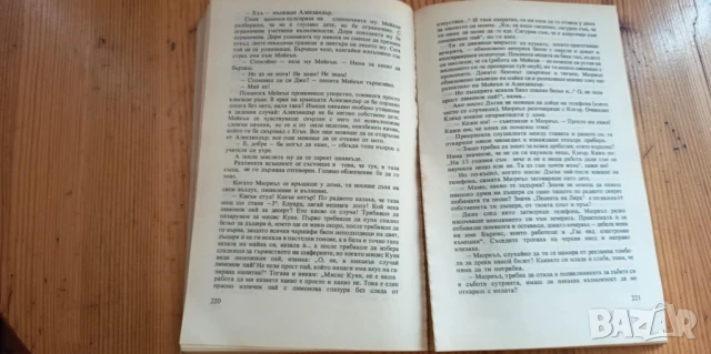 Турист по неволя - Ан Тайлър, снимка 4 - Художествена литература - 51208578