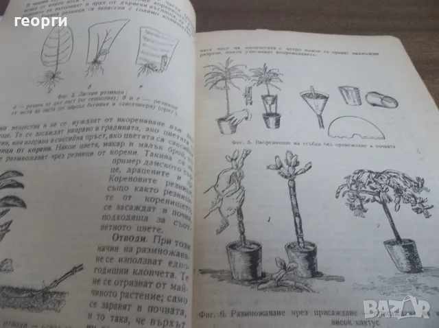 Книга за градиняря, снимка 3 - Други - 55780585