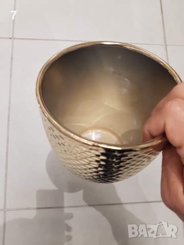 Саксии, снимка 3 - Други - 36062021