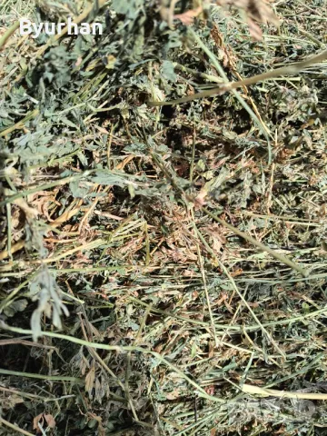 Продавам бали люцерна 