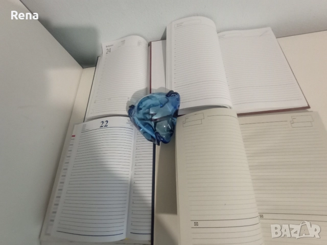 Стари тефтери , снимка 2 - Антикварни и старинни предмети - 51581376