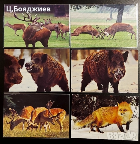 17 бр. Стари календарчета  - Животни , снимка 3 - Колекции - 52111281