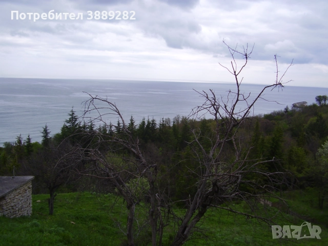 Продава парцел в околностите на к.к. Златни пясъци , Варна , снимка 4 - Парцели - 51844811