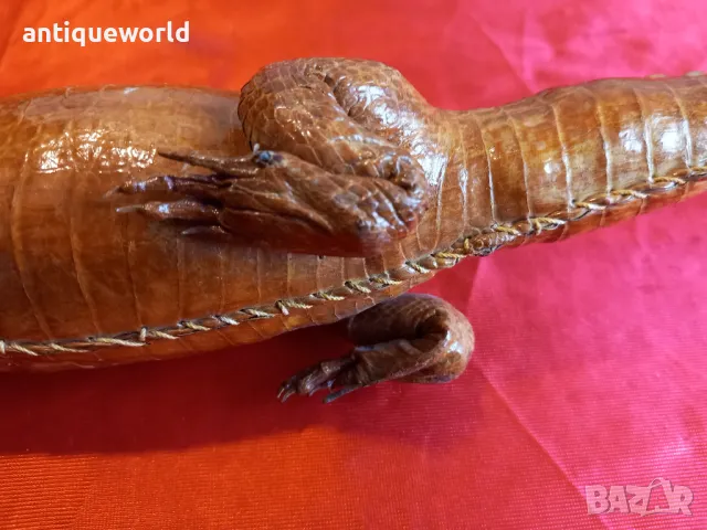 Препариран КРОКОДИЛ, Кайман, снимка 8 - Антикварни и старинни предмети - 48232689