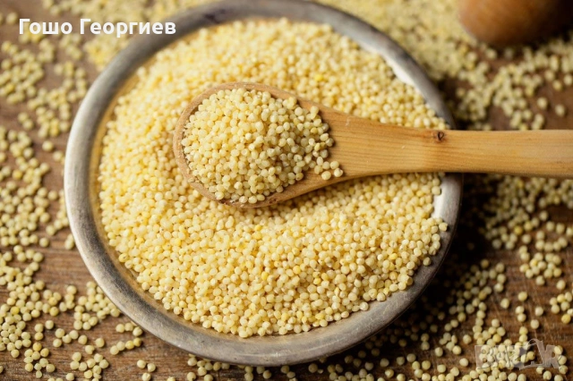 Продавам изгодно зърнени храни и семена на едро и дребно