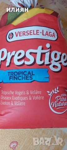 Среброклюни,Японски,Гулдови амадини, снимка 11 - Амадини - 53488807