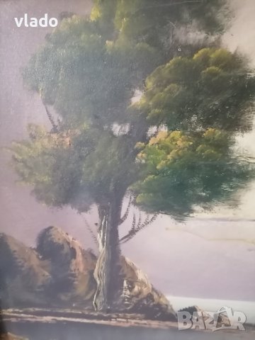 Картина маслени бои - импресионизъм - ПРОМО, снимка 5 - Картини - 42103201