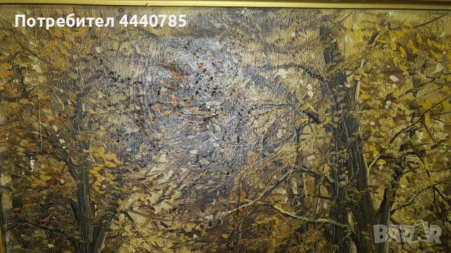 Маслени картини върху платно, снимка 7 - Картини - 53054490