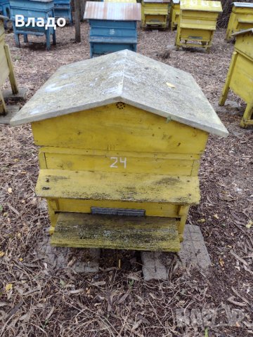 Кошери , снимка 1 - Стоки за пчели - 41161320