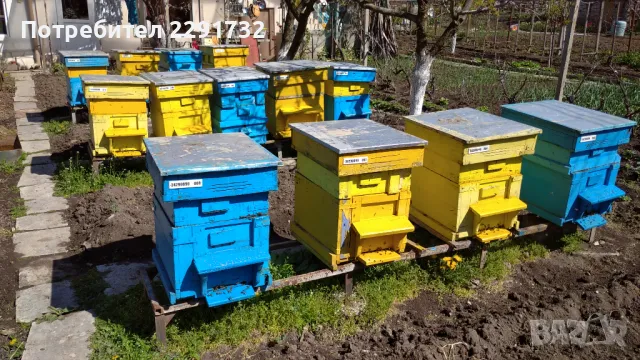 Продавам пчелни отводки/рояци, снимка 1