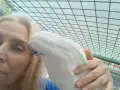 какаду алба мъжки, снимка 3