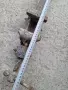 Менгеме Шлосерско , снимка 4