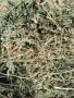 Продавам бали люцерна , снимка 1