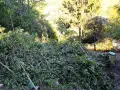 продавам имот в панчарево, снимка 4