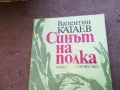 СИНЪТ НА ПОЛКА 1710240910, снимка 2
