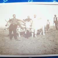 Стара картичка-снимка Бояна 1928г., снимка 2 - Други ценни предмети - 34793348