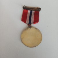 норвежки сребърен медал с емайл , снимка 7 - Антикварни и старинни предмети - 42141985