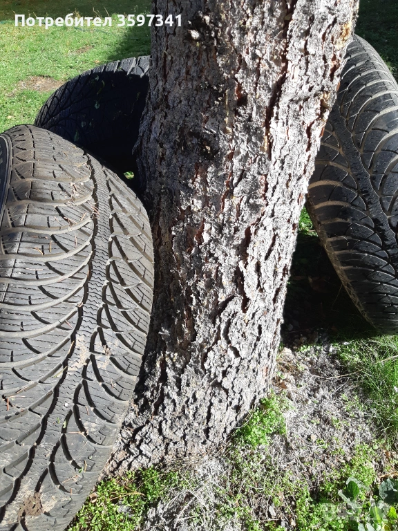 Голф 4 две джанти 15 ки с 3 зимни 195/65/15, Голф 3 джанти, Пасат 1998 Джанти, снимка 1