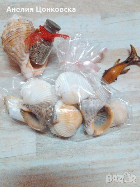 Морски подаръчета 2021, снимка 1