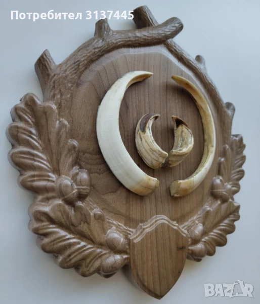 Поставка за ловен трофей глиги от диво прасе с дърворезба, снимка 1