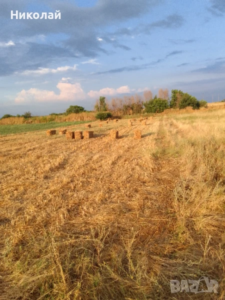 бали , снимка 1