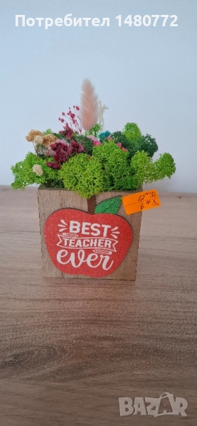 Дървени кашпи със скандинавски мъх за учител, снимка 1