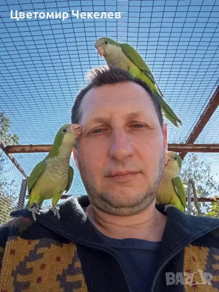 Ръчно хранени монаси, снимка 1