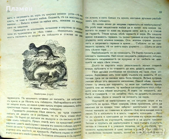 Малки разкази за животни и растения. Кн. 1-4 Стефанъ Велчевъ /1929/, снимка 2 - Антикварни и старинни предмети - 56137216