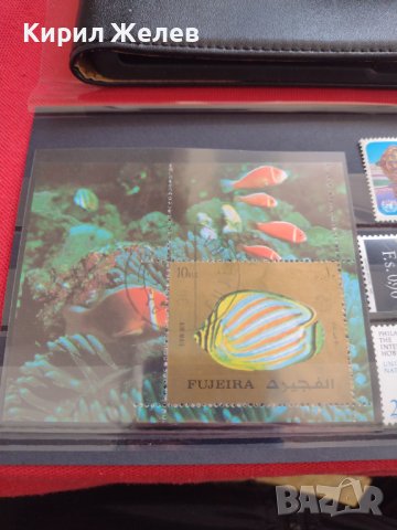 Пощенска блок марка Екзотична риба 🐟 много красива ефектна за КОЛЕКЦИЯ 17839, снимка 5 - Филателия - 40454563