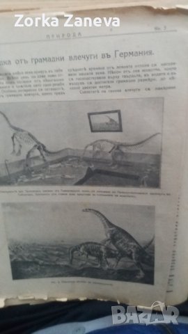 Списание "Природа" , снимка 12 - Антикварни и старинни предмети - 39480052