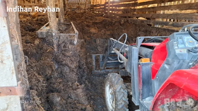 Почистване на овце ферми , снимка 3 - Други услуги - 48777734