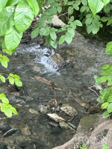 Къща, снимка 4 - Къщи - 50657375