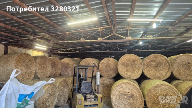 Бали ролонни Ечемик и Пшеница 2025г., снимка 4 - Коне - 52709172