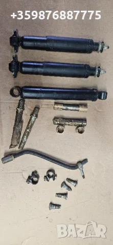 Жук Ниса Варшава Латвия Раф 