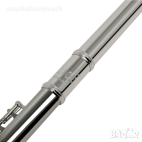 SLADE 16 Concert Flute C Key Student Beginner - пиколо флейта с твърда кейс /ЧИСТО НОВИ/, снимка 7 - Духови инструменти - 44526678