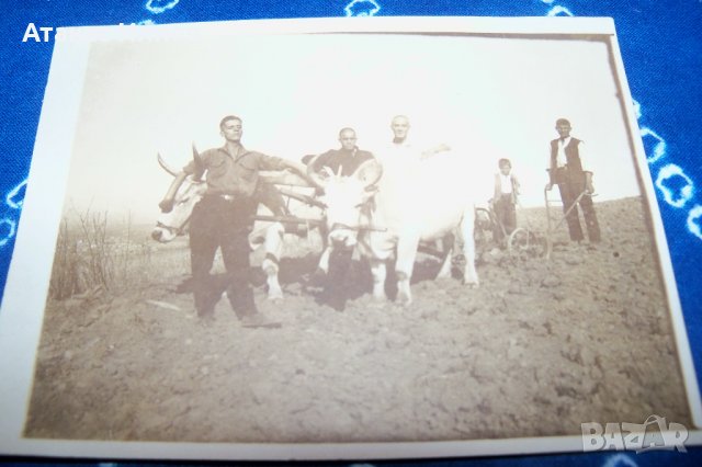 Стара картичка-снимка Бояна 1928г., снимка 2 - Други ценни предмети - 34793348