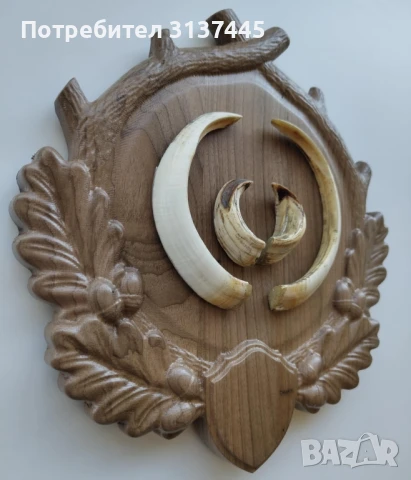 Поставка за ловен трофей глиги от диво прасе с дърворезба