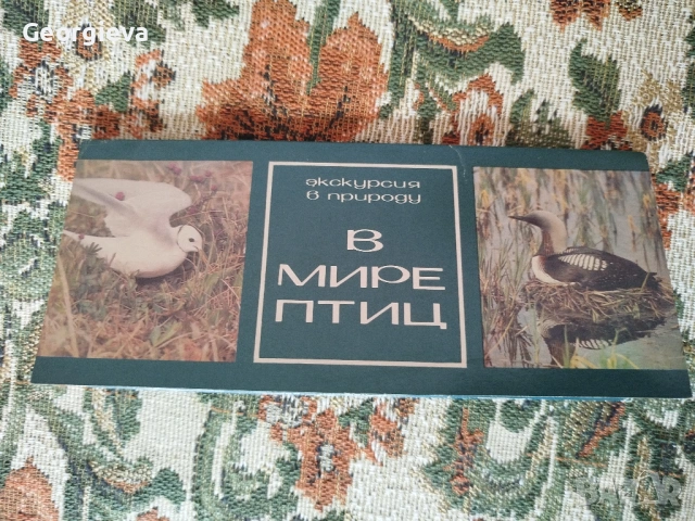 картички със птици и календар с картички