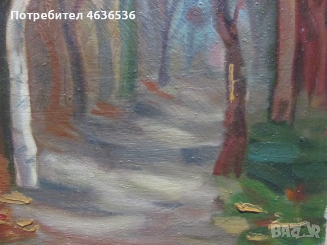 Красива Картина масло, платно ,художник Силвия Радева, снимка 4 - Картини - 52573752