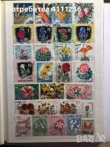 Класьор с марки на тема "Цветя", снимка 6 - Филателия - 53611717