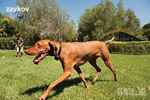 PetSafe, Компактна безжична ограда за бягство Stay & Play с презареждаща се каишка, снимка 2 - Друга електроника - 50479621