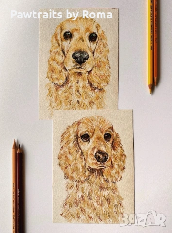 Ръчно рисуван портрет на домашен любимец, снимка 4 - Картини - 38707277
