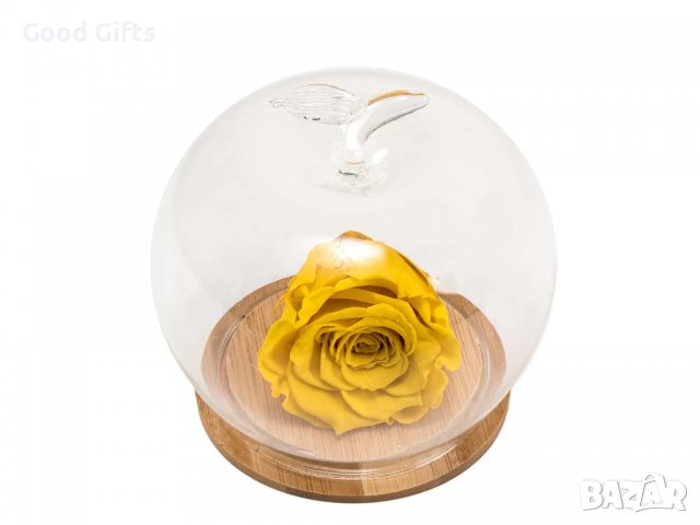 Стъклена кутия за декорация ЯБЪЛКА с дървена подложка