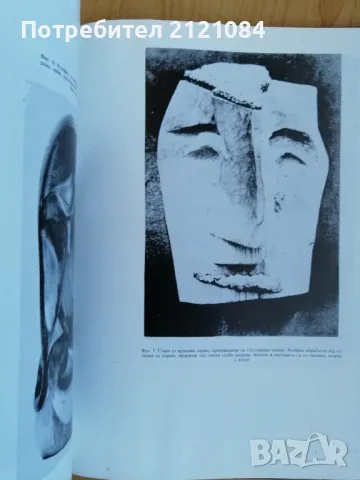 Художествено обработване на дървото Вацлав Шеди , снимка 10 - Специализирана литература - 49233977