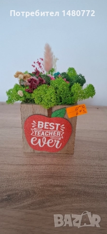 Дървени кашпи със скандинавски мъх за учител