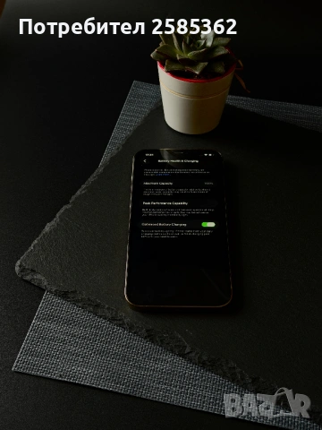 iPhone 12 Pro Max 256 GB Gold / 100% Батерия / Перфектен технически, снимка 4 - Apple iPhone - 53583833